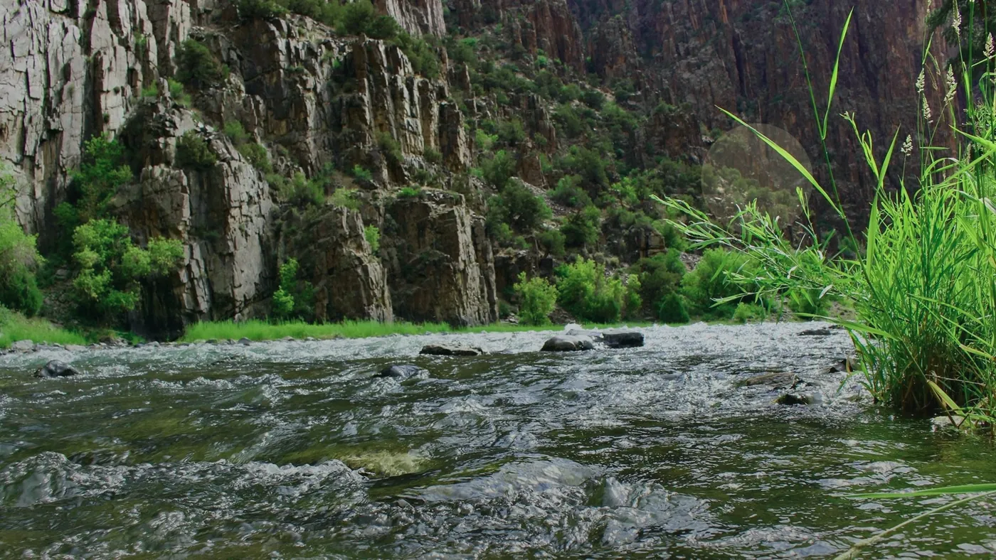 How to Sell Remote Colorado Acreage Colorado land guide