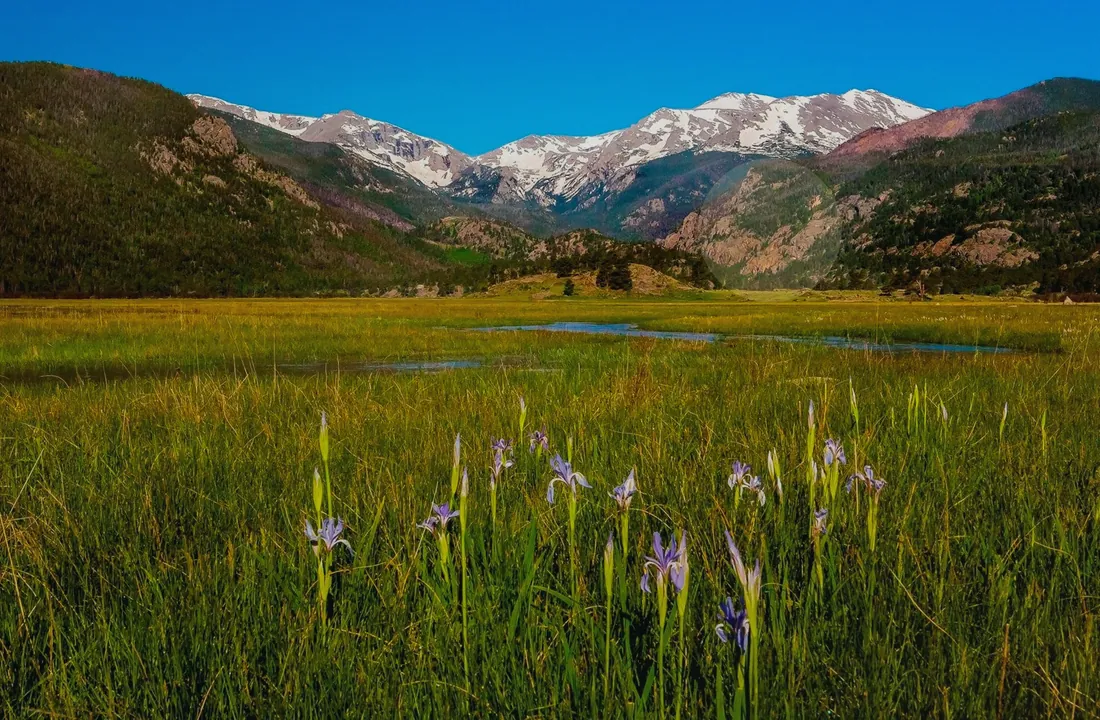 Colorado land sale options and buyer review for Colorado Land Buyer Checklist for Sellers