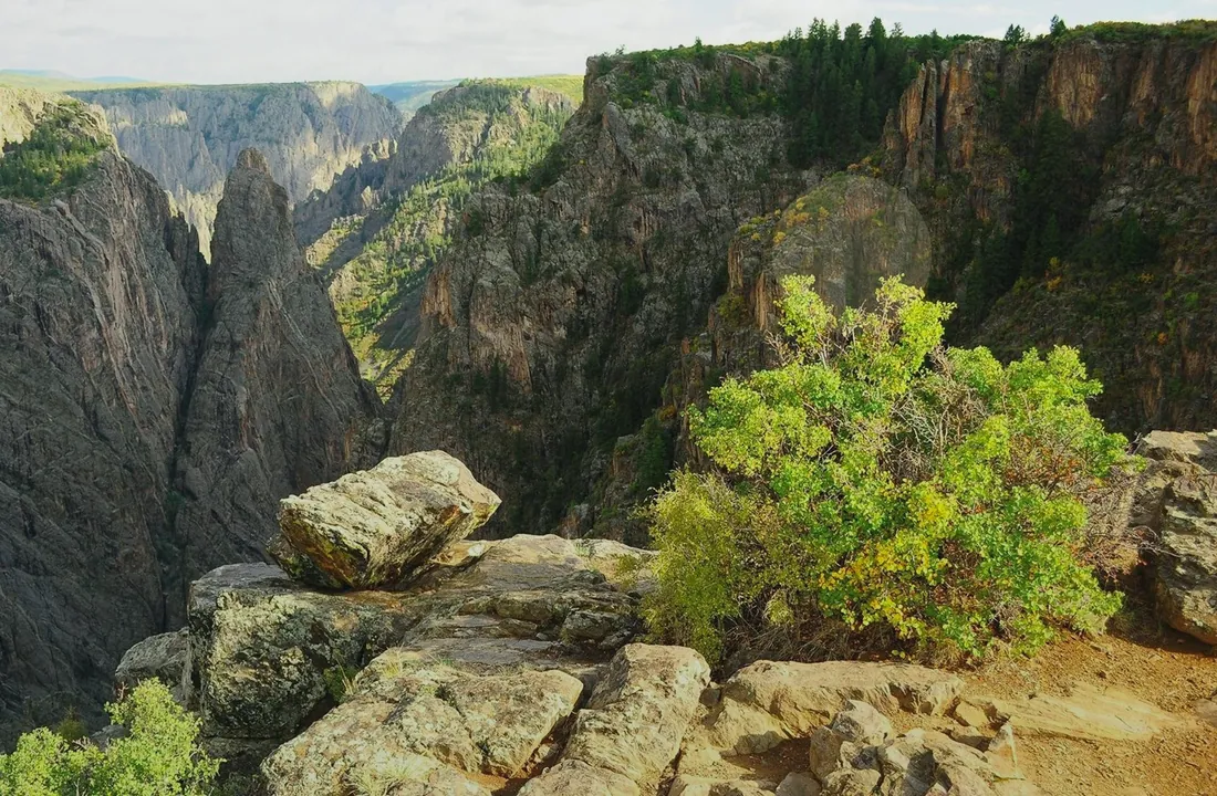 Colorado land sale options and buyer review for Sell CO Land: How Direct Colorado Offers Work