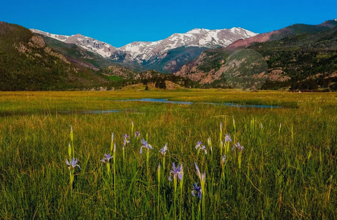 Colorado title and closing preparation for How to Sell Colorado Land With Tax Issues