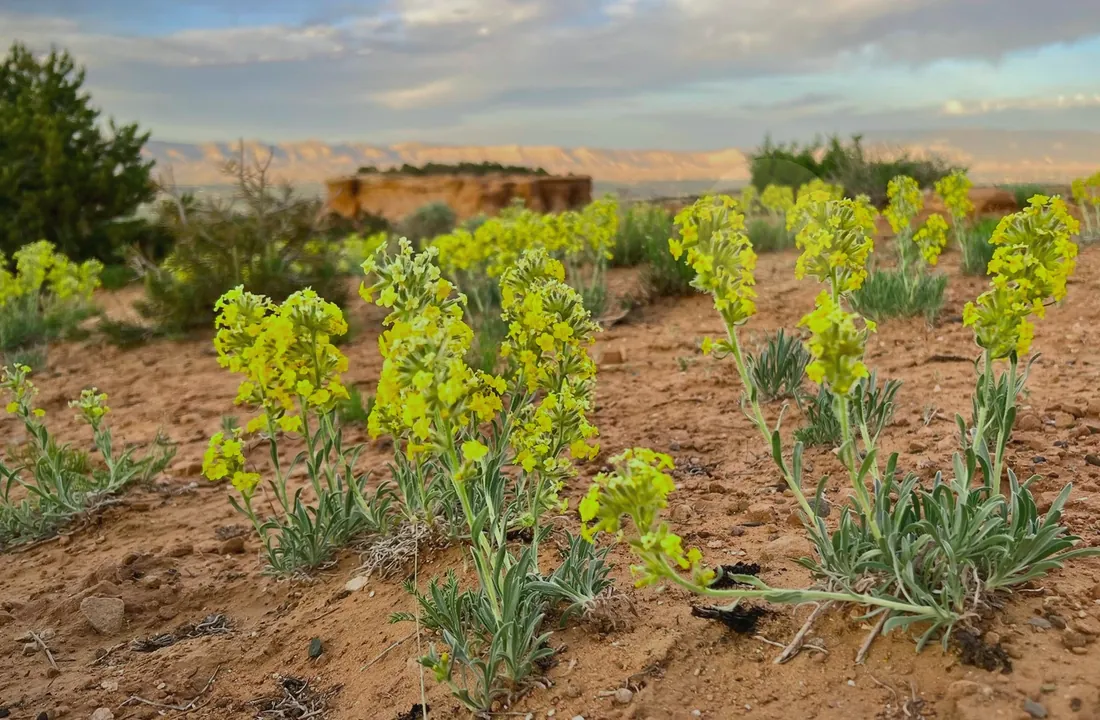 Colorado land sale options and buyer review for Selling Inherited Colorado Land Without Listing