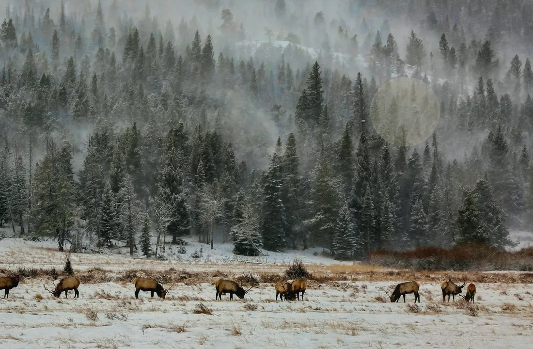 Colorado land sale options and buyer review for How to Sell Remote Colorado Acreage