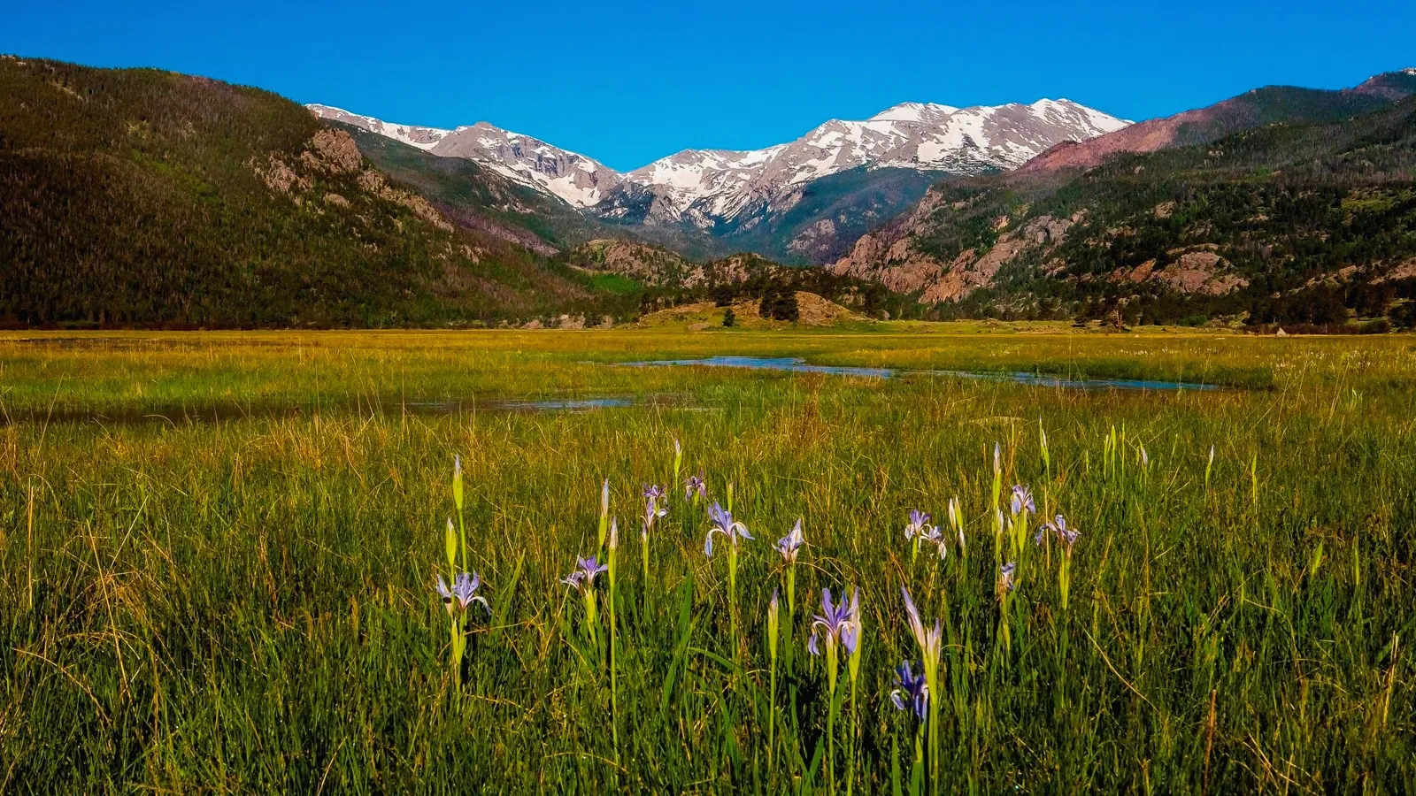 Sell Land in Saguache County Colorado Colorado land background